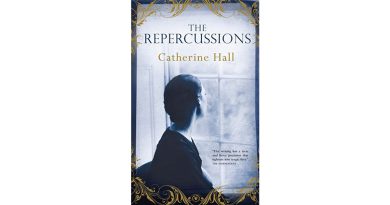 The Repercussions by Catherine Hall