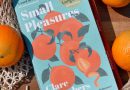 Small Pleasures by Clare Chambers