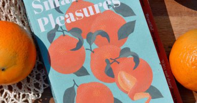 Small Pleasures by Clare Chambers