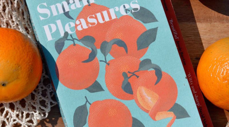 Small Pleasures by Clare Chambers